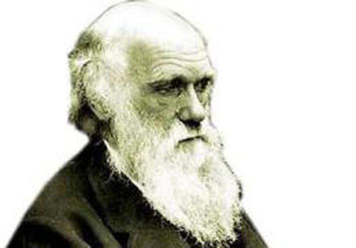 Verðlaun Charles Darwin sýna fram á að fólk er misvel gefið.