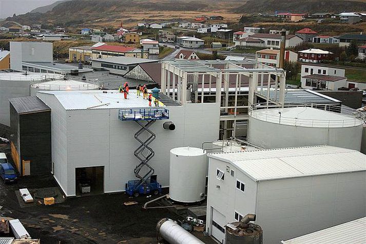 grandi á vopnafirði Búið að frysta tólf þúsund tonn af síldar- og makríl-afurðum í sumar.mynd/hbgrandi