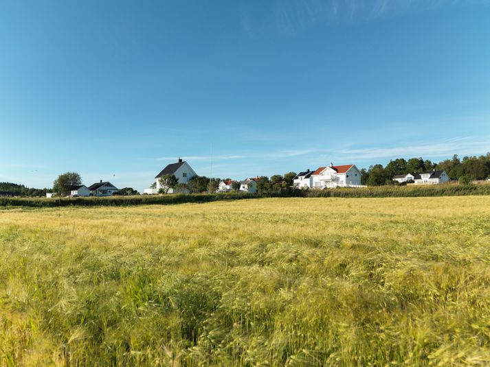 Í norska bænum Frosta búa um 2500 manns. Bærinn er skammt frá Þrándheimi.