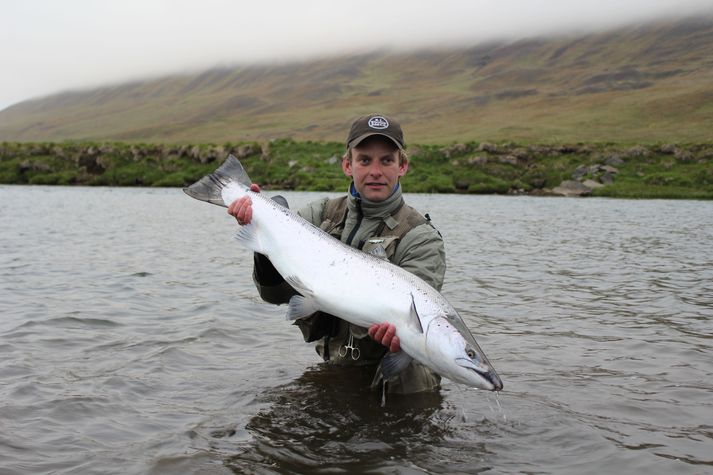 Svona stólaxa verða sífellt algengari í Vatnsdalsá.  Þetta var stærsti laxinn í ánni 2011