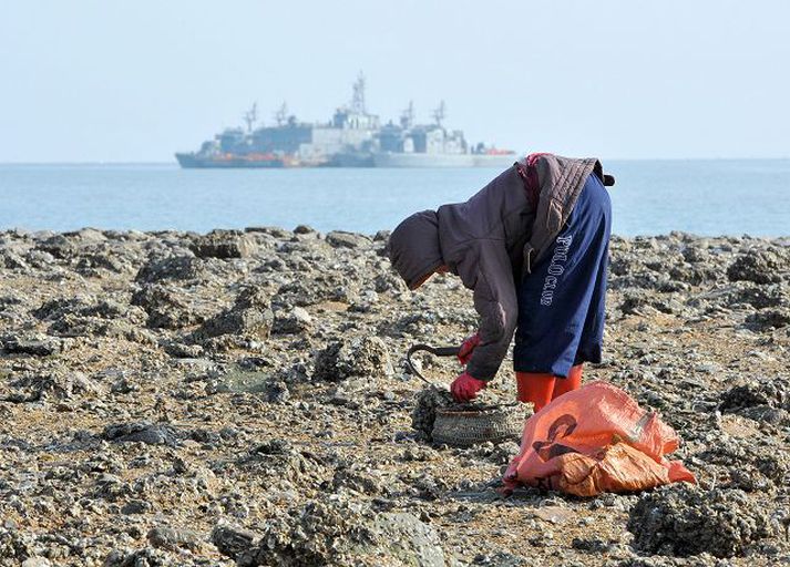 Tínir ostrur á Yeongpyoeng-eyju
Daglegt líf gekk sinn vanagang meðan undirbúningur að heræfingum stóð yfir á herskipunum fyrir utan.
nordicphotos/AFP