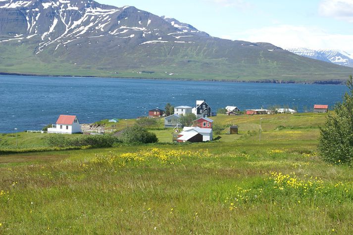 Úr Hrísey.