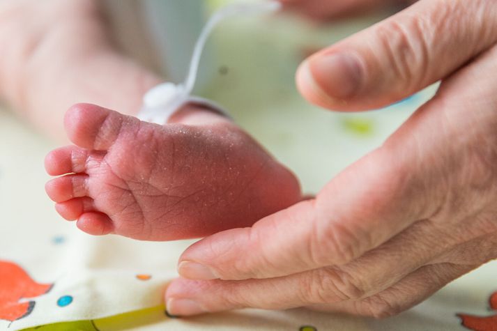 Frjósemi á Norðurlöndunum hefur minnkað á undanförnum árum, líkt og á Íslandi.