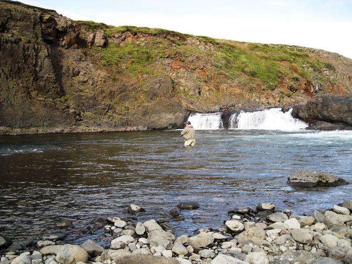 Veitt við Króksfoss í Norðurá II.