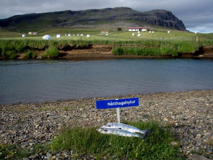 Fín veiði hefur verið í Andakílsá það sem af er sumri.