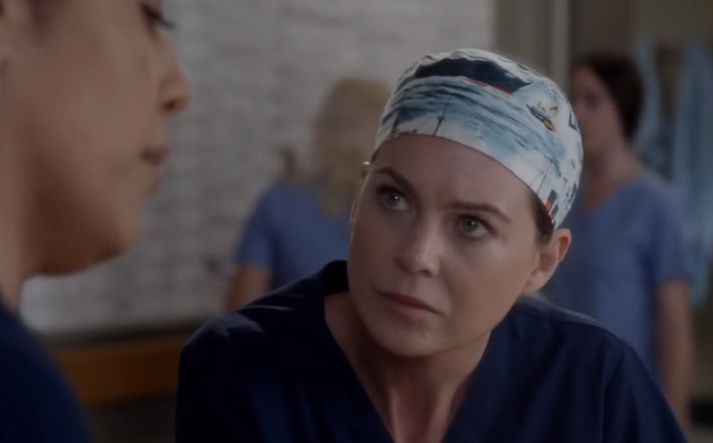 Ellen Pompeo fer með aðalhlutverkið og leikur hún Meredith Grey.
