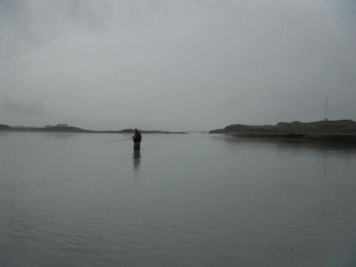 Við veiðar á Ferjukotseyrum. Gamla Hvítarbrúin sést í fjarska.