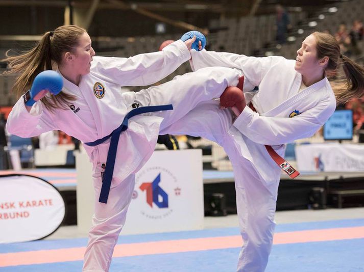 Frá Norðurlandamótinu í karate sem fór fram í Danmörku í ár.