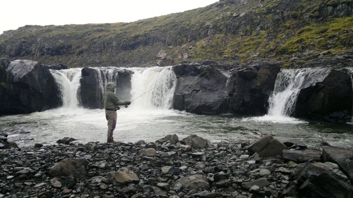 Fossinn efst í Litlu-Þverá er fallegur en erfiður veiðistaður. Aðeins voru bókaðir tveir laxar upp úr þessari þverá Þverár í sumar.