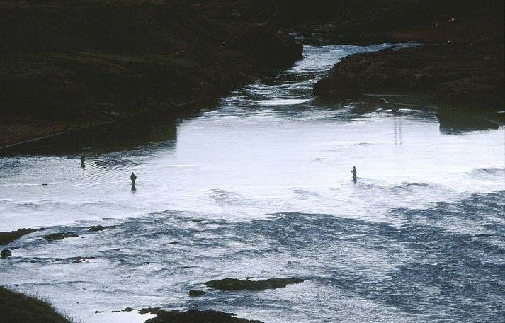 Blanda verður eftir þetta tímabil aðeins veidd á flugu.