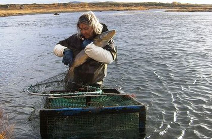 Jóhannes Sturlaugsson með "River Monster" úr Öxará í fanginu.