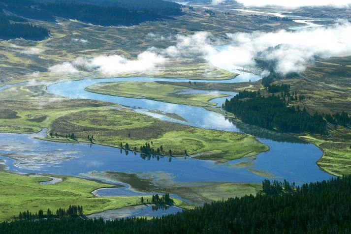 Yellowstone fljótið