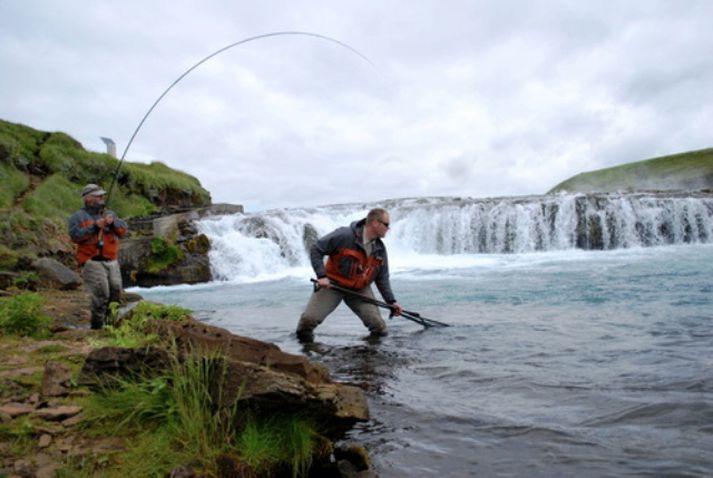 Lax háfaður við Ægissíðufoss. Ytri-Laxá hefur skilað vel 2.237 löxum og er langefst á lista LV.