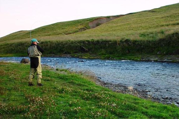 Meðalþyngd laxa í Svartá er um 8 pund og veiðisvæðið er um 25 kílómetra lang.