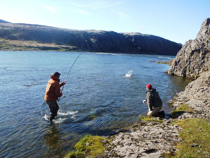 Árni Friðleifsson, varaformaður SVFR, þreytir hér lax við opnun Norðurár síðasta sumar. Bjarni Júlíusson, formaður félagsins, er honum til halds og trausts.