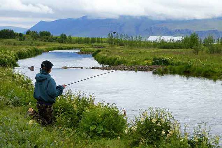 Korpu hefur verið lýst sem háskóla fluguveiðinnar; Hreggnasi selur veiðileyfi fyrir áhugasama. Sjá hreggnasi.is