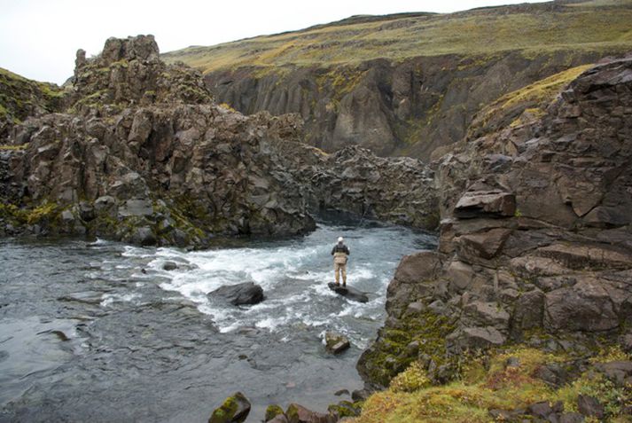 Veiðimenn fóru að tilskyldum reglum við Stóru-Laxá í sumar og gott betur því 85 prósent aflans var sleppt.