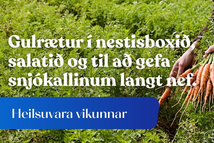 Gul­rætur smell­passa í nestisboxið