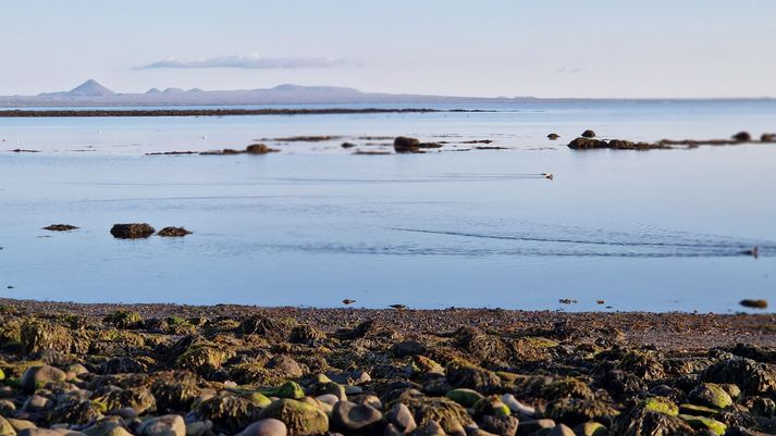 Fjaran við Álftanes. Myndin er úr safni.