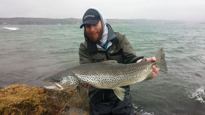 Stór og flottur urriði sem veiddist í Þingvallavatni í gær