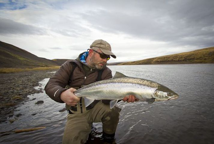 Þeir eru mættir í Miðfjarðarána, sem er vatnslítil eftir þurrkana undanfarið.