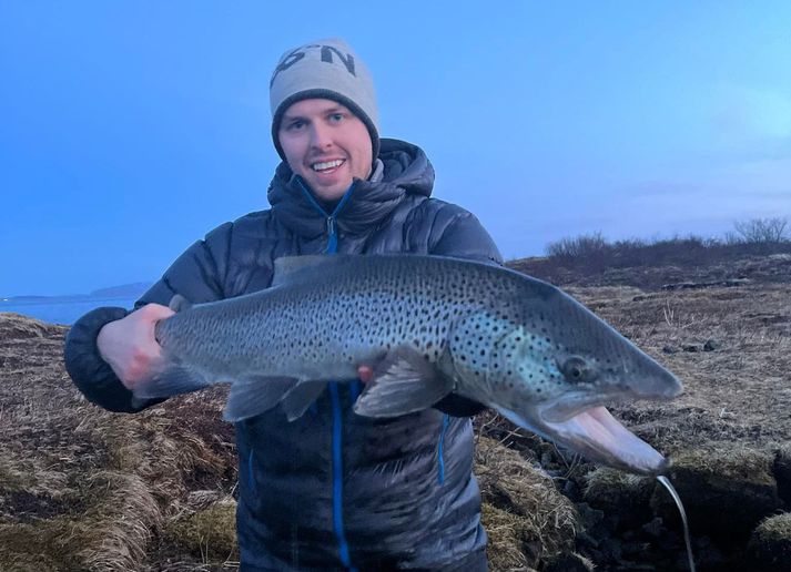 Þessi flotti urriði veiddist í gær við Kárastaði á Þingvöllum