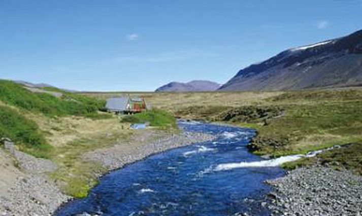 Krossá er tveggja stanga á í Dalasýslu og fellur til sjávar í Geirmundarvog á Skarðsströnd, skammt sunnan við Skarðsstöð en á upptök á Villingadal. Leigutaki er Veiðifélagið Hreggnasi.