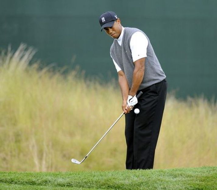 Tiger Woods er með forystuna.