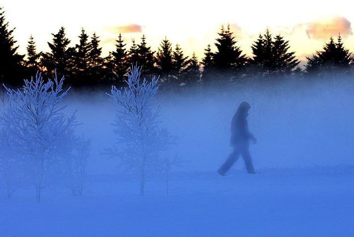 skógræktin Skógræktarfélag Íslands hvetur aðildarfélög sín til að mótmæla drögum að frumvarpi um náttúruvernd sem umhverfisráðherra hefur kynnt. Frettabladid/Vilhelm