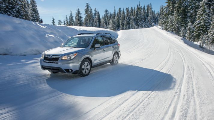 Subaru Forester í sínu rétta umhverfi.