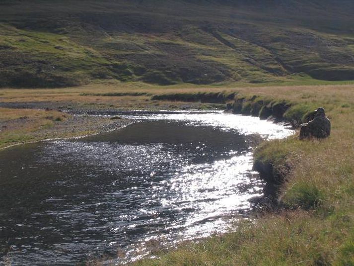 Það veiðist vel við Tjaldbakkann.