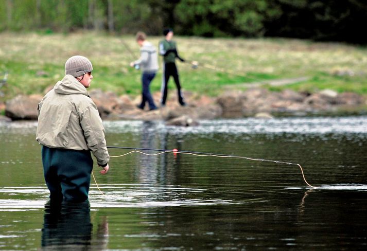 Ungir sem aldnir veiða í Reynisvatni. Þar eru kjöraðstæður fyrir byrjendur að reyna fyrir sér í stangveiði.