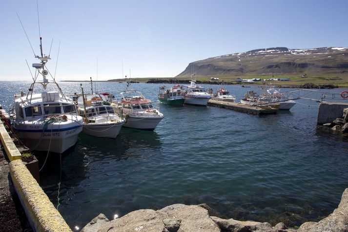 Æ meiri fiskur og fleiri ferðamenn fara um Brjánslæk.