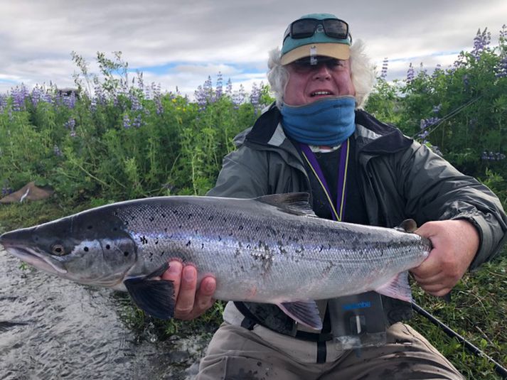 Veiðisumarið hefur verið yfir meðallagi í það minnsta í ánum á vestur og norðausturlandi.