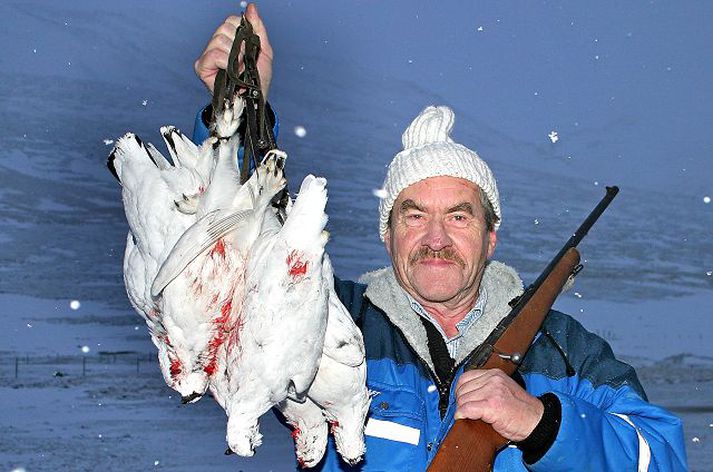 Góður fengur Fengur Ara Einarssonar rjúpnaskyttu í þessari ferð var sjö rjúpur en ráðlagt er að hver veiðimaður skjóti ekki fleiri en níu rjúpur á þessu hausti.