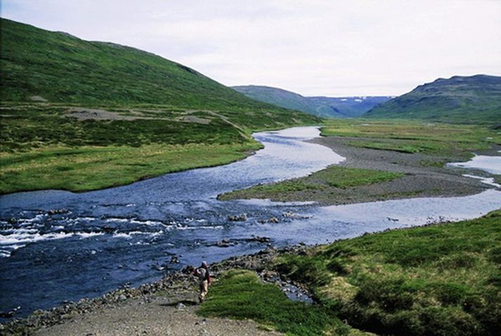 Langadalsá hentar sérlega vel til fluguveiði, enda óleyfilegt að nota annað agn.