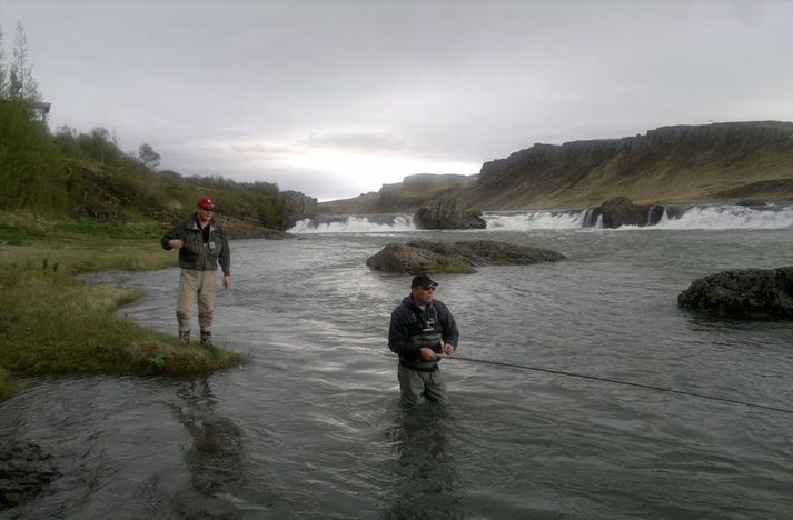 Frá Norðurá í morgun. Bjarni Júlíusson opnaði formlega laxveiðisumarið. Og það var á í þriðja kasti!