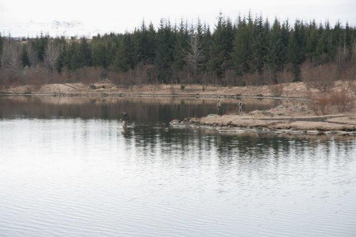 Það er loksins að lifna yfir Elliðavatni.  Hér er Helluvatn sem er vinsæll veiðistaður.