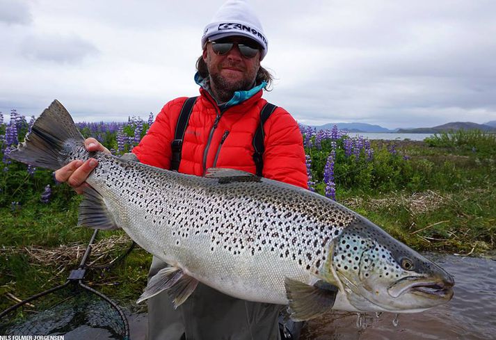 98 sm urriði sem Nils Folmer landaði á ION svæðinu í fyrradag.