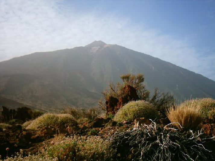 Tiede eldfjallið á Tenerife er meðal hins tilnefnda