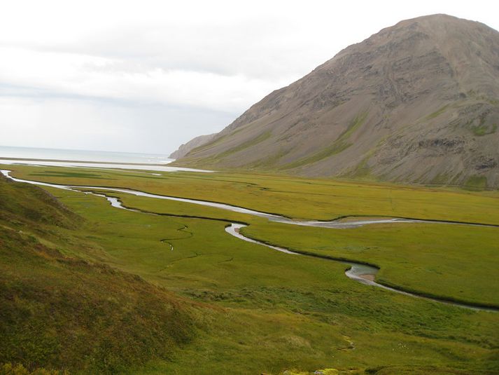 Falleg náttúra umvefur stangaveiðimenn í Hvalvatnsfirði.