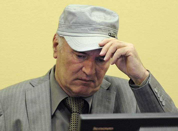 Mladic árið 2011.