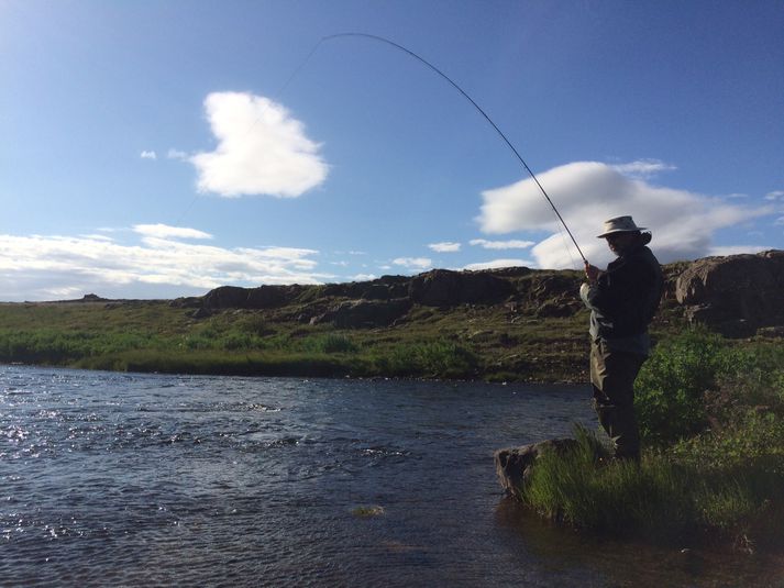 Það hefur verið sólríkt síðustu tvær vikur en nú er rigning á leiðinni.