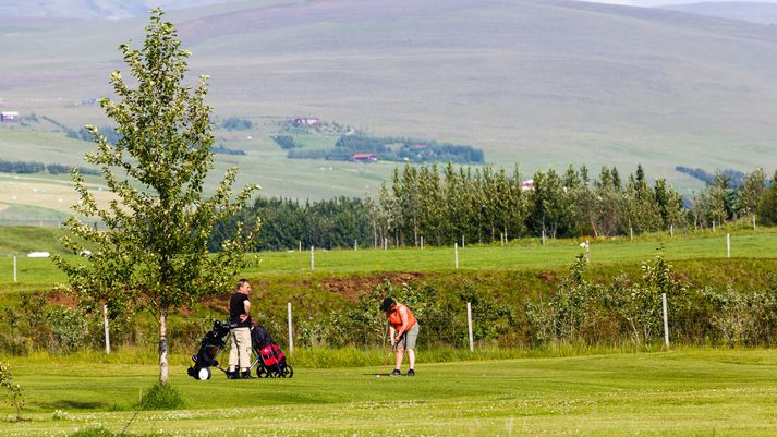 Í aðeins 10 mínútna akstursfjarlægð frá Hvolsvelli er golfvöllurinn við Hellishóla. Um er að ræða krefjandi en skemmtilegan níu holu völl sem er umkringdur stórkostlegri náttúr.