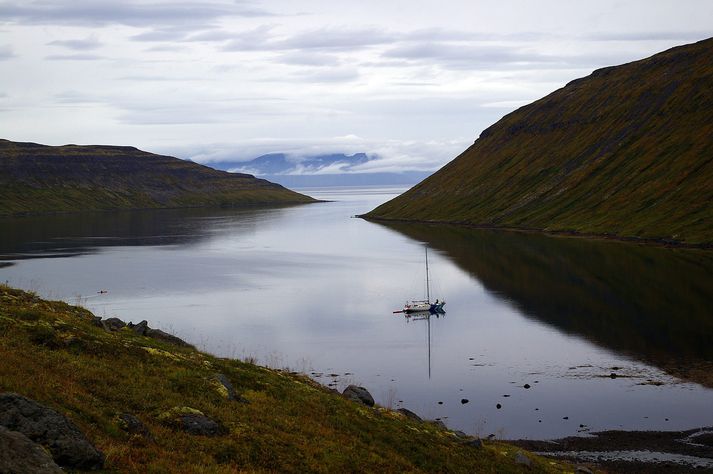 Hraðfrystihúsið Gunnvör hyggst koma upp 7 þúsund tonna laxeldi í Ísafjarðardjúpi.