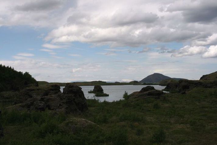 Við Mývatn. Hellableikjan hefur fundist í hellum við vatnið.