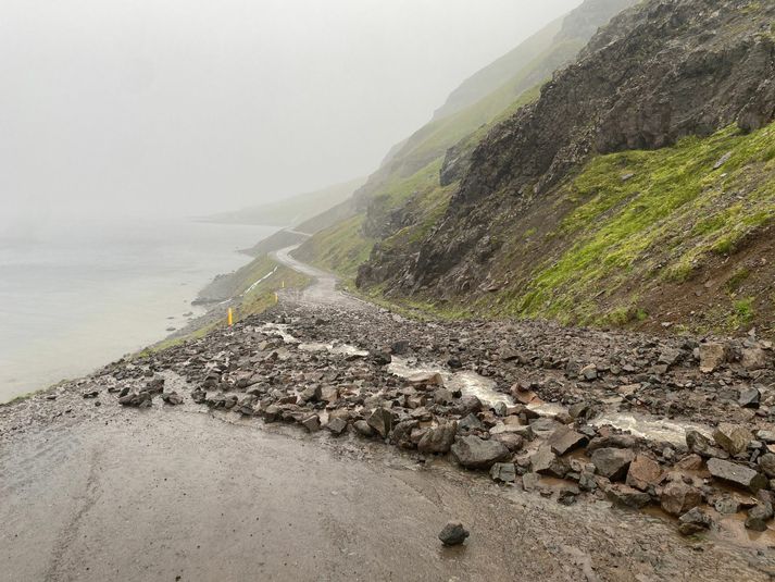 Ein af skriðunum sem féllu á Strandavegi í morgun, nánar tiltekið í Kjörvogshlíð. Mikið úrhelli var í nótt en hann haldist þurr síðustu klukkustundir.