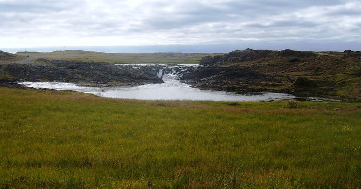 Spáð er miklu rigningum á Vesturlandi næstu daga og vonast menn til að Langá og aðrar veiðiár á svæðinu njóti góðs af.