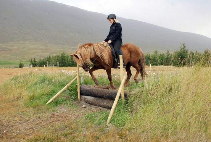 Í TREC þarf að leysa ýmsar þrautir.