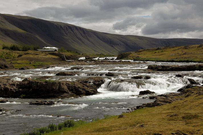 Það má reikna fastlega með því að Kvíslafoss í Laxá í Kjós verði mannlaus eftir klukkan 19:00 í kvöld.